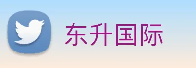 东升国际 logo